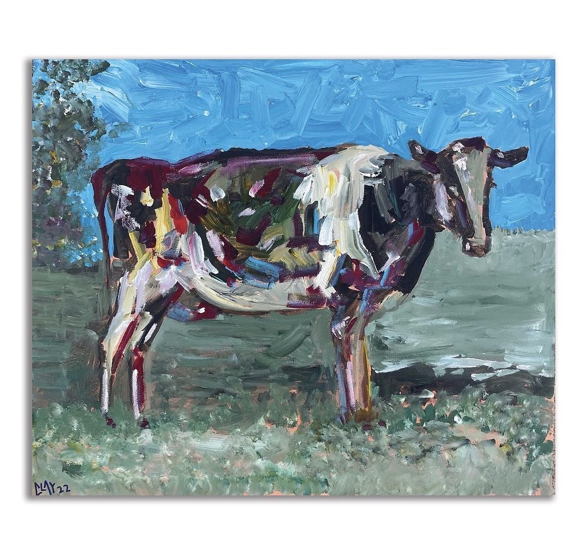 a cow