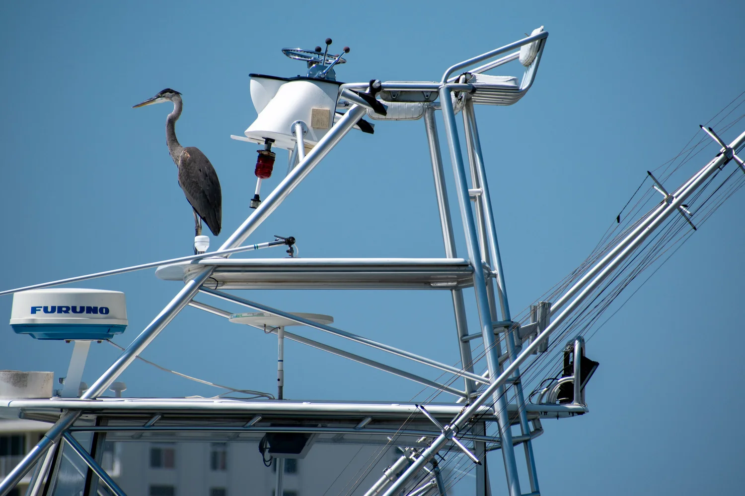 a short summer in florida 7