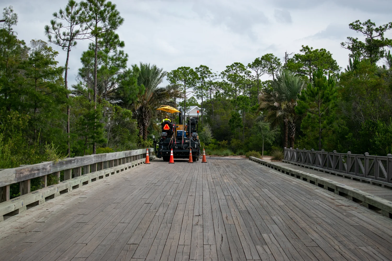 a short summer in florida 11