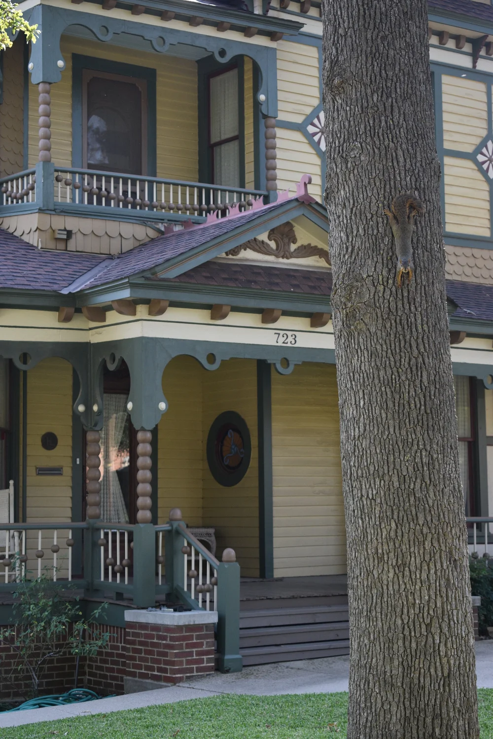 Denton, TX house numbers 11